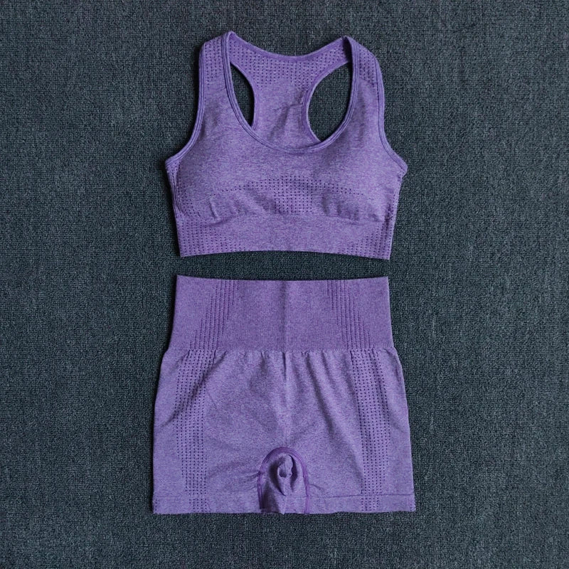 2/3/5PCS Seamless Women Yoga Set Workout Sportswear