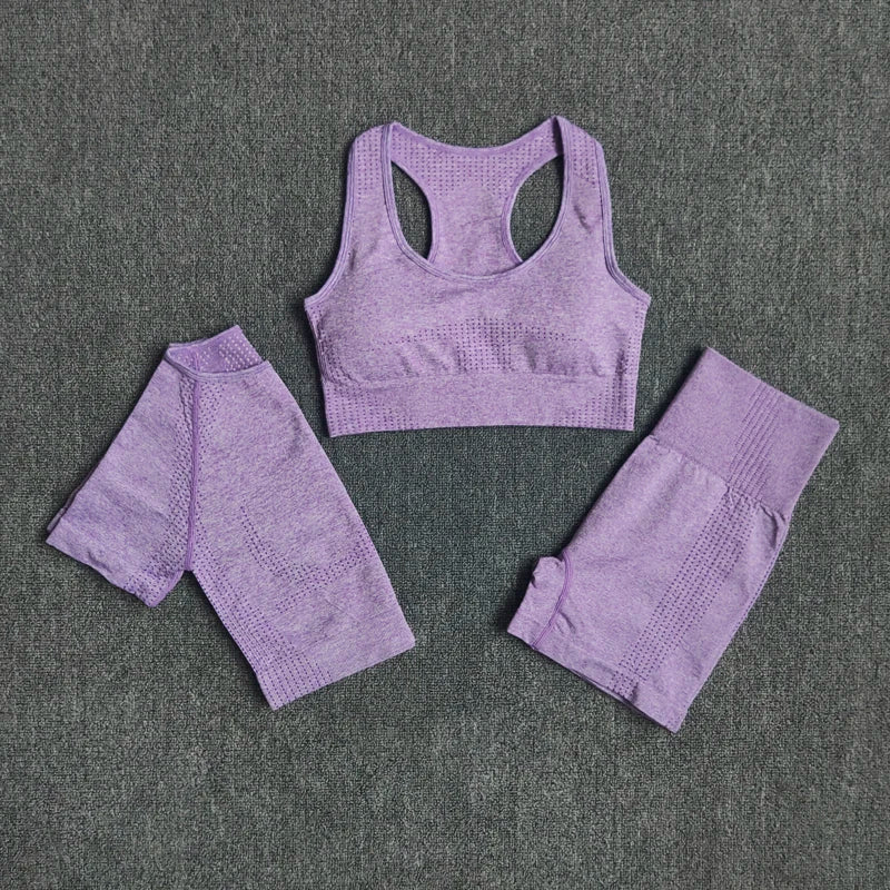 2/3/5PCS Seamless Women Yoga Set Workout Sportswear
