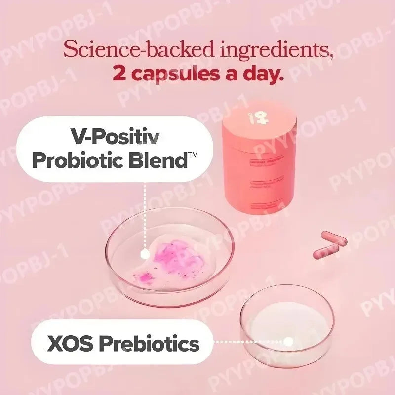 Probiotic Capsules for Women with 4 Lactobacillus Strains & Prebiotics, Vegan 60 Count Daily Digestive and Flora Support