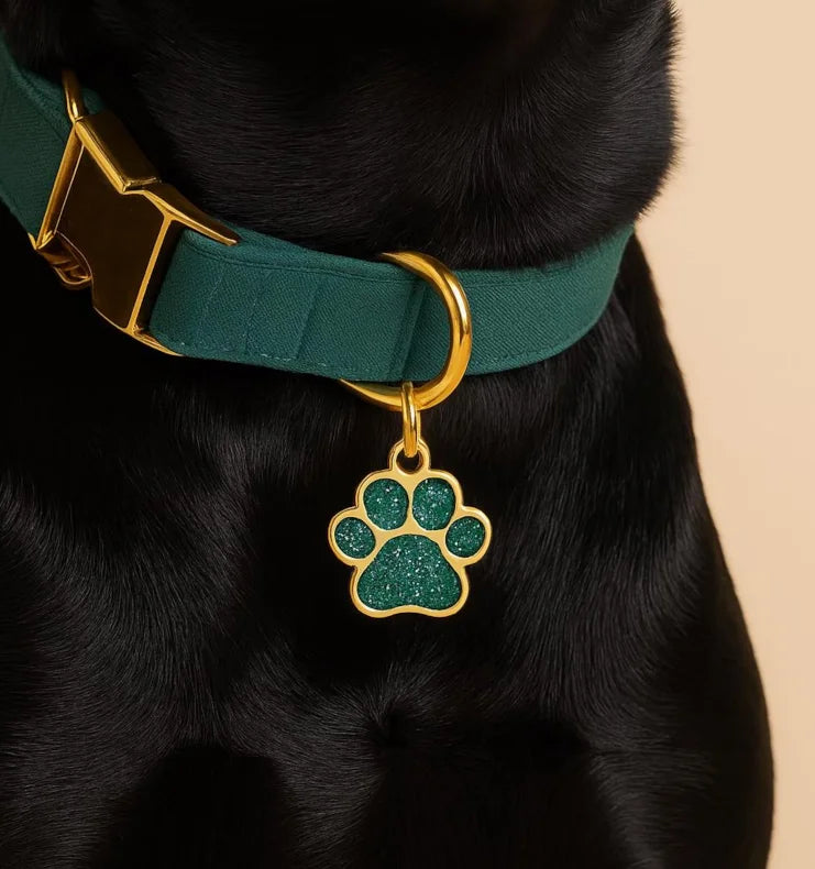 Free Personalized Dog Cat Plate Tags Engraved Puppy Pet ID Name